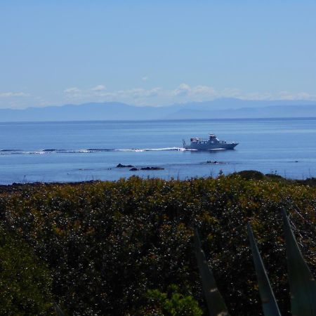 Le Case Punta Negra สตินติโน ภายนอก รูปภาพ