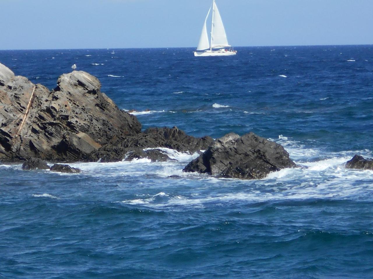 Le Case Punta Negra สตินติโน ภายนอก รูปภาพ